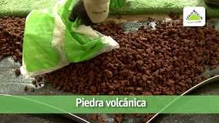 Diseño De Jardines Aridos