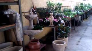 Viveros Arboles Frutales Zaragoza