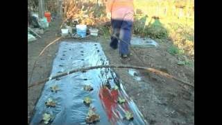 Ventajas Y Desventajas De Los Huertos Familiares