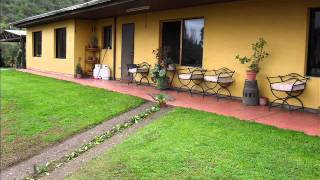 Arboles Frutales Venta Chile