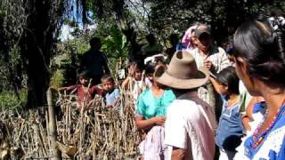 Huertos Familiares En Guatemala