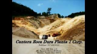 Alquiler De Plantas Ornamentales En Puerto Rico