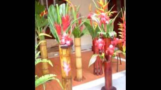 Arreglos Florales Y Frutas Bogota