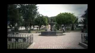 Plantas Ornamentales Quito