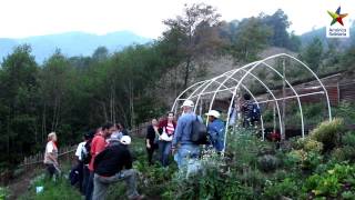 Modelos De Proyectos De Huertos Familiares
