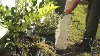 Decoracion De Jardines Urbanos