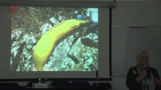 Huertos Familiares Tesoros De Diversidad