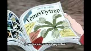 Tiendas De Plantas Carnivoras En Barcelona