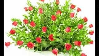 Cursos Arreglos Florales Bogota Colombia