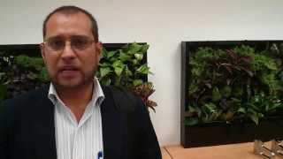 Cursos De Diseño De Jardines En Guadalajara
