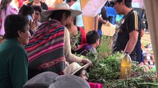 Plantas Curativas En Bolivia