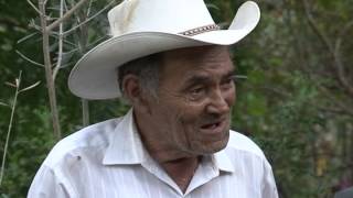 Huertos Familiares En Brasil
