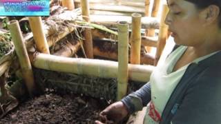 Huertos Familiares Y Seguridad Alimentaria