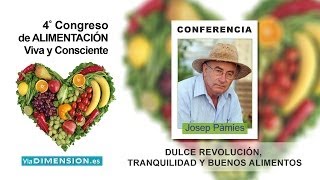 Plantas Curativas Ajenjo