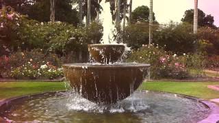 Decoracion De Jardines Silvestres