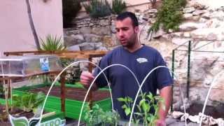 Manual Huertos Familiares Urbanos