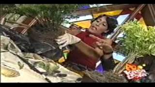 Arboles Frutales Enanos Online