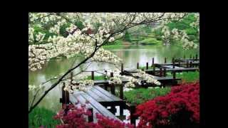 Diseño De Jardines Japoneses