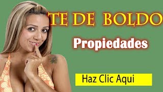 Plantas Curativas Boldo