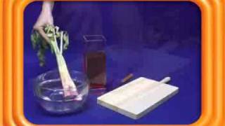 Las Plantas Carnivoras Tienen Clorofila Y Pueden Hacer La Fotosintesis