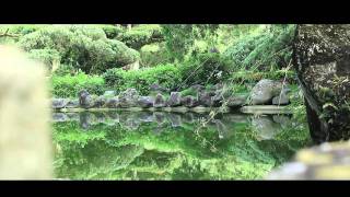 Origen Y Evolucion De Plantas Carnivoras