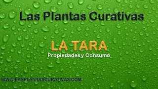 Plantas Curativas Cicatrizantes