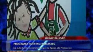 Manual Huertos Familiares 2010