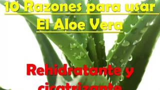 Plantas Curativas Cicatrizantes