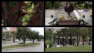 Sistemas De Riego Utilizados En La Agricultura