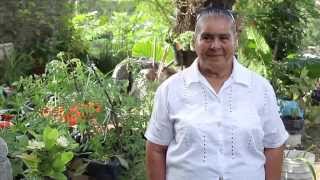 Huertos Familiares En Jalisco
