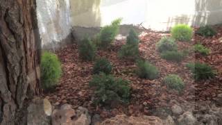 Diseño De Jardines Granada