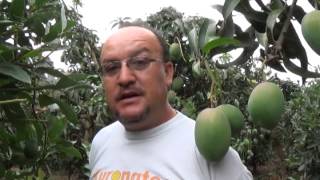 Asociacion De Productores De Plantas Ornamentales De Galicia