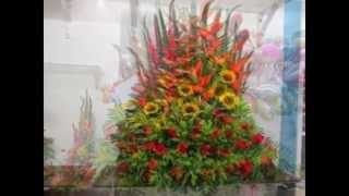 Arreglos Florales Guatemala A Domicilio