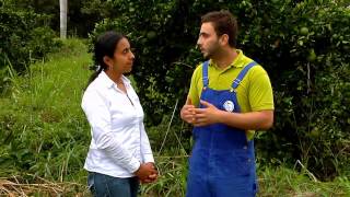 Sistemas De Riego Y Fertilizacion