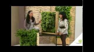 Plantas Ornamentales Comunes En Los Jardines