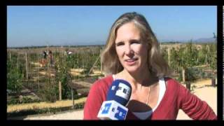 Casas En Arriendo Huertos Familiares