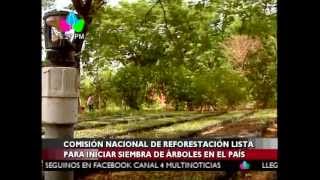 Lista De Plantas Ornamentales En Nicaragua