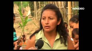 Huertos Familiares En Ingles