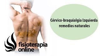 Plantas Curativas Para La Vesicula Biliar