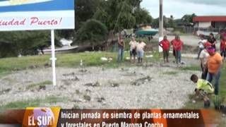 Plantas Ornamentales Del Zulia