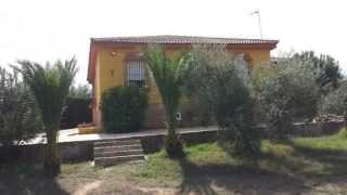 Comprar Arboles Frutales En Andalucia