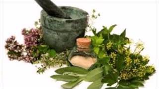 Plantas Curativas Para Bajar De Peso