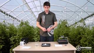 Venta De Semillas De Arboles Frutales