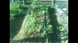 Sistemas De Riego Para Jardines En Guadalajara