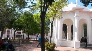 Imagenes Arbustos Ornamentales