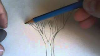Arboles Frutales Chilenos Nombres