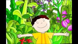 Tipos De Plantas Medicinales Ornamentales Y Alimenticias