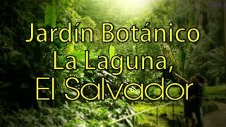 Decoracion De Jardines En El Salvador
