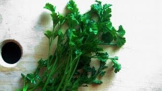 Plantas Curativas Para El Riñon
