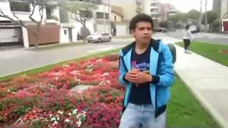 Plantas Curativas Del Peru